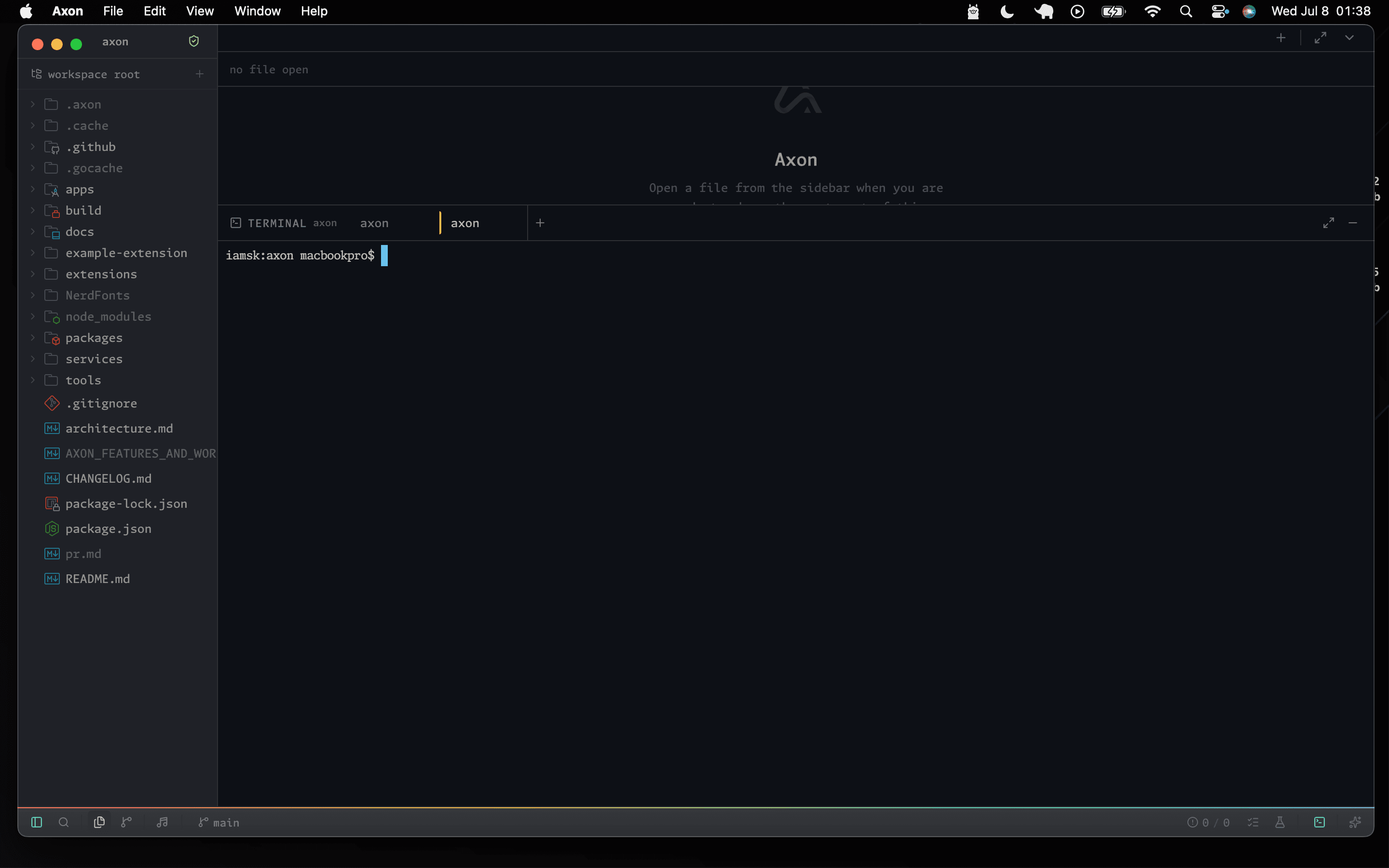 Axon workspace with the integrated terminal panel open