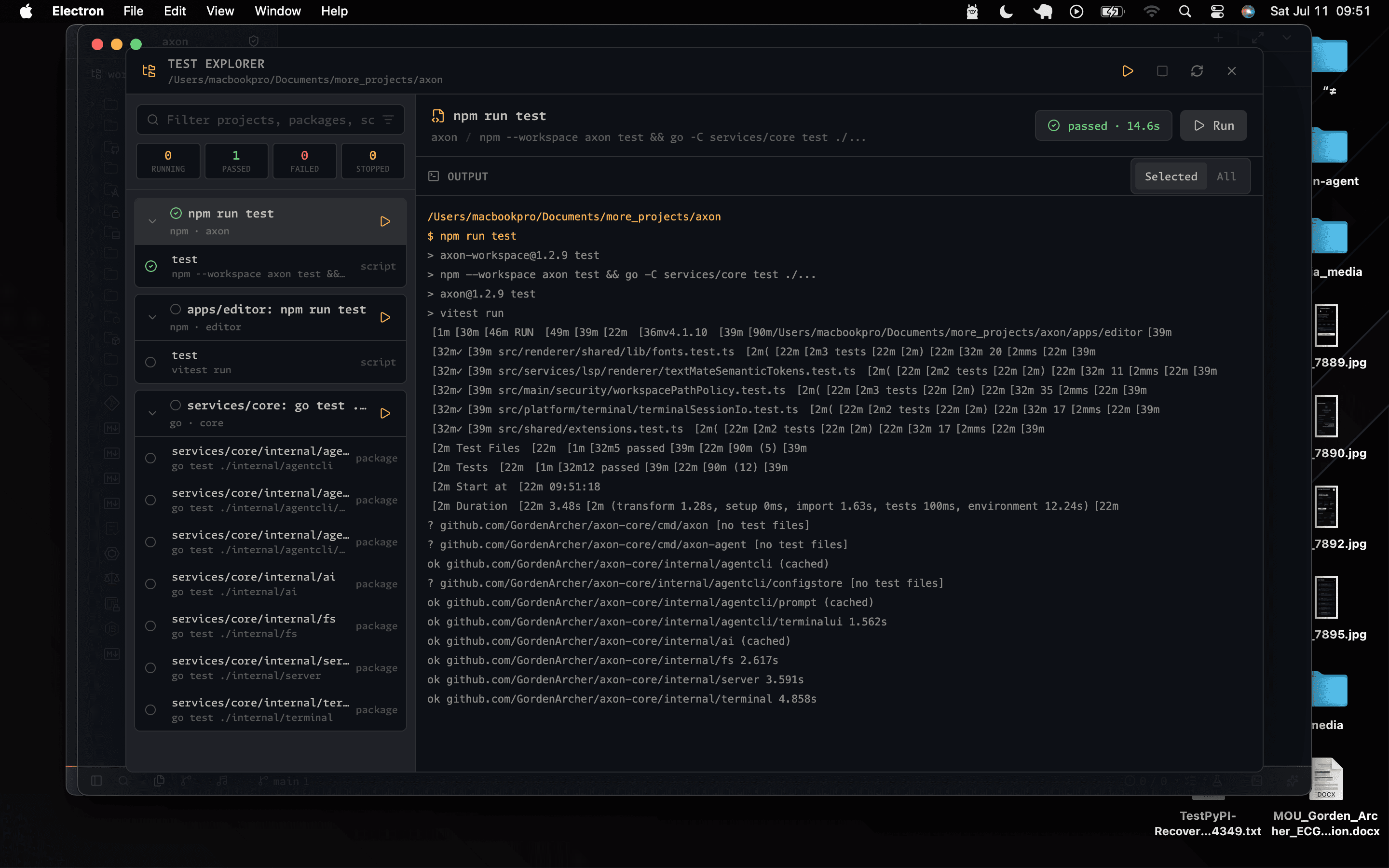 Axon Test Explorer showing npm scripts, Go packages, pass counters, and completed test output